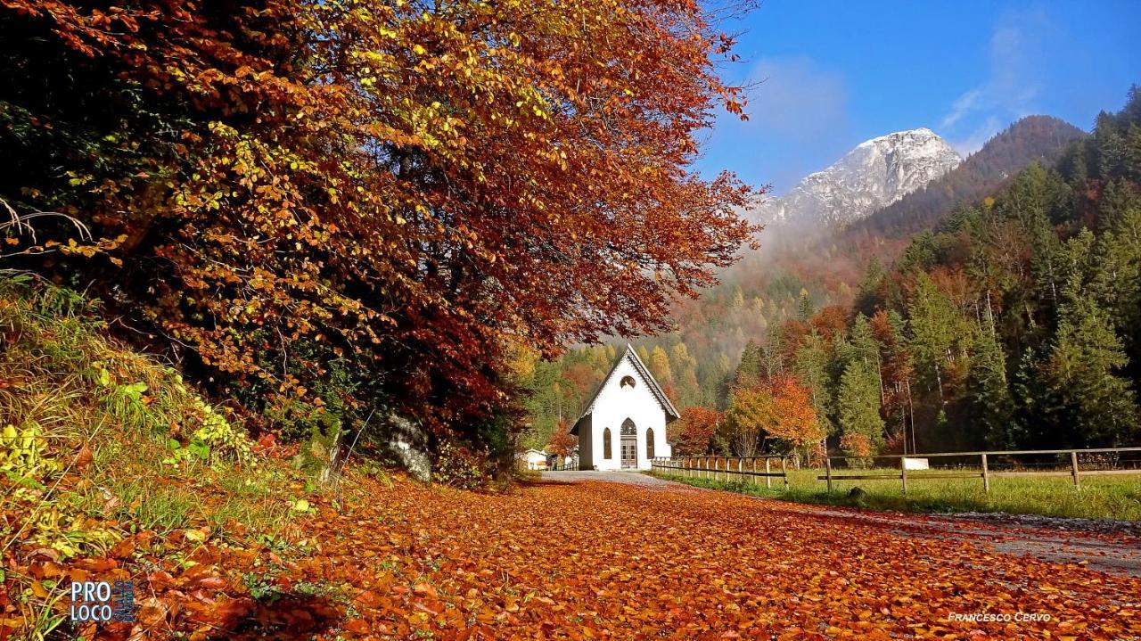 Lunga Via Delle Dolomiti Hotel Calalzo di Cadore Ngoại thất bức ảnh
